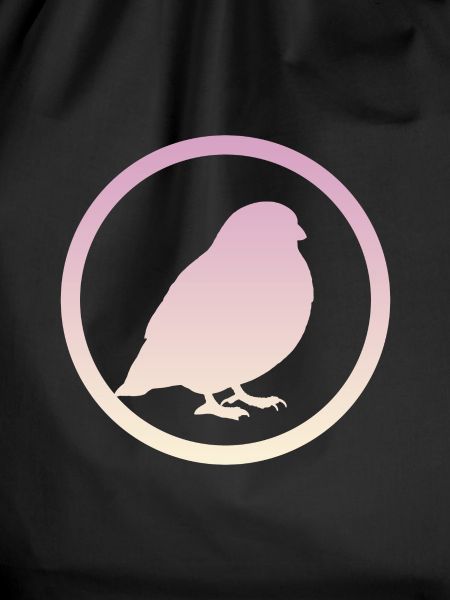 Bird Birds Bird Watching