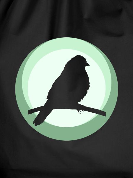 Parakeet Animal Bird Illustration