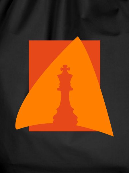 Chess Player Chess Chess