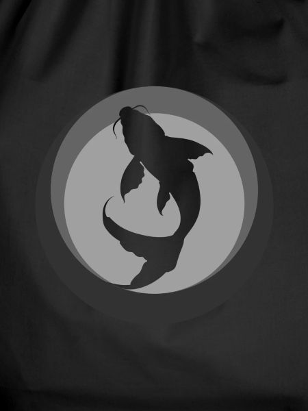 Koi Fish Pond