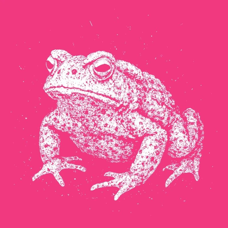 Toad