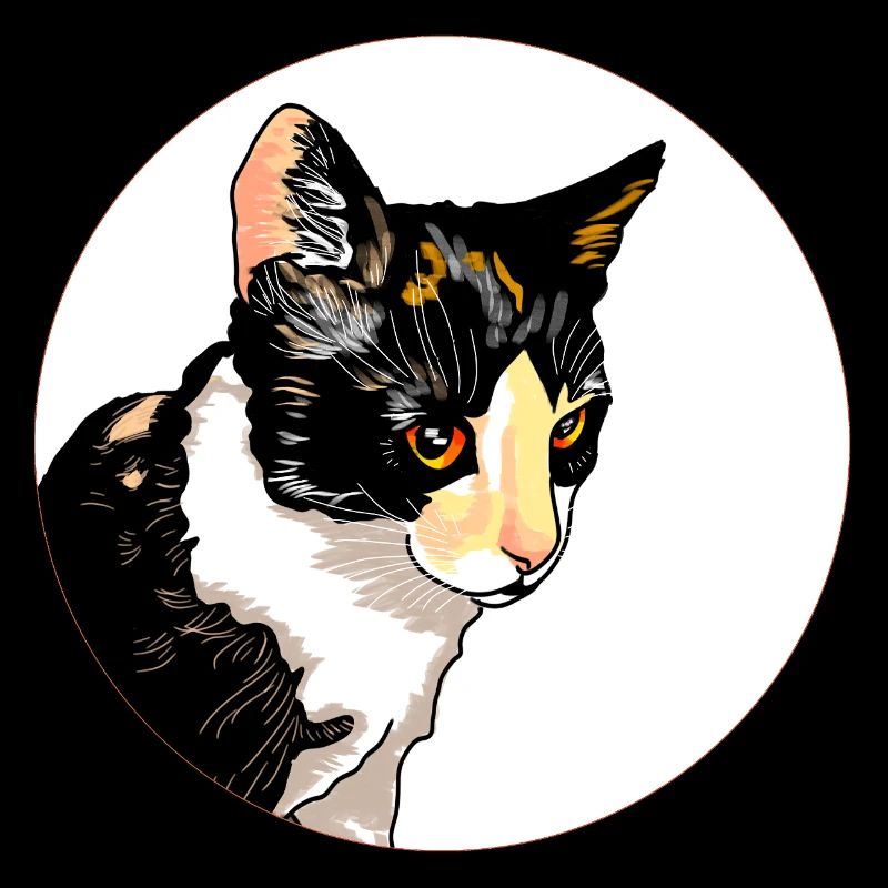 Cat Portrait Circle Contrast
