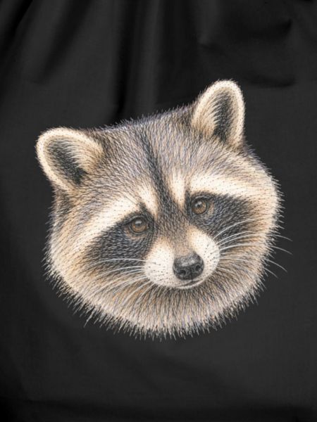 Waschbärporträt