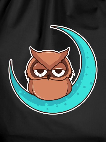 Owl owl moon - design
