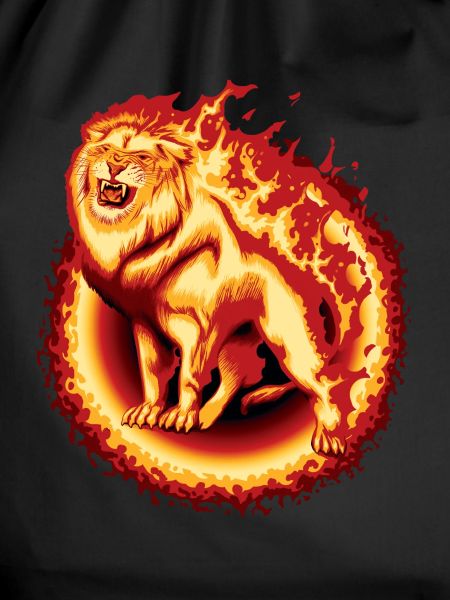 Lion on fire