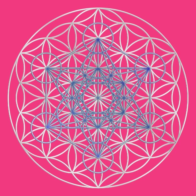 Le cube de Metatron - Fleur de la vie