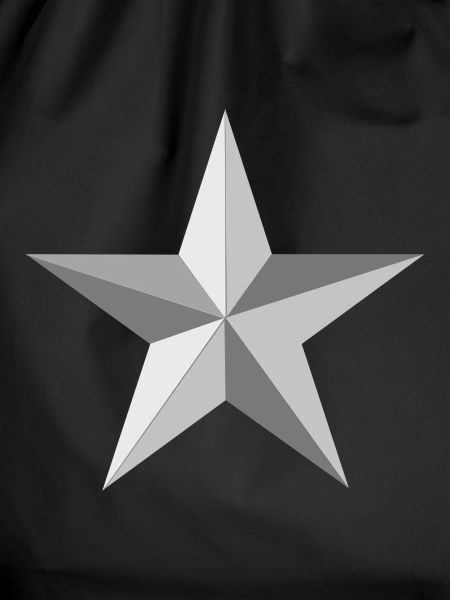 Silver star