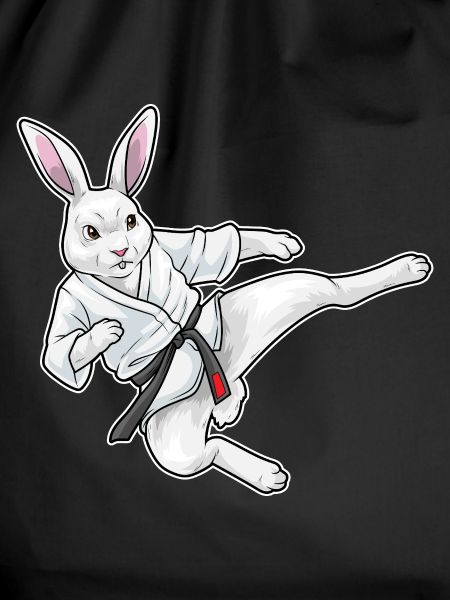 Rabbit Karate Martial Arts