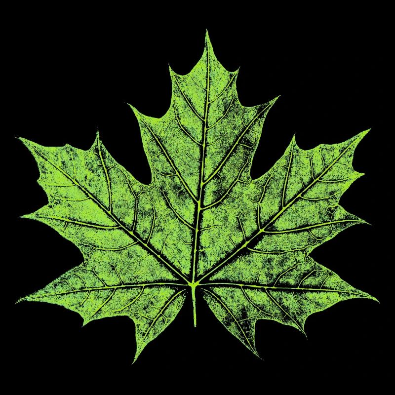 Maple Leaf - GREEN - Natural / Forest Design