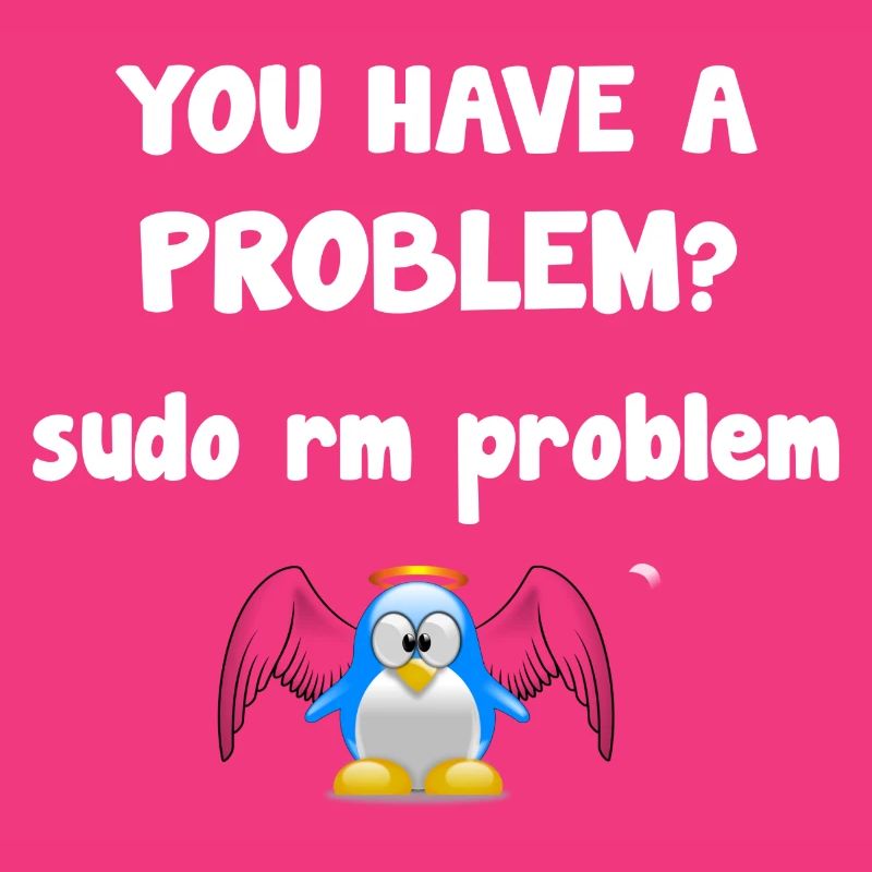 Linux sudo rm problème programmeur proverbe