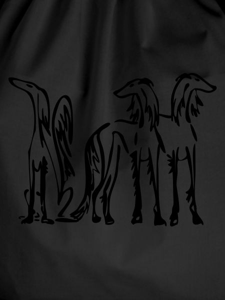 Saluki Trio