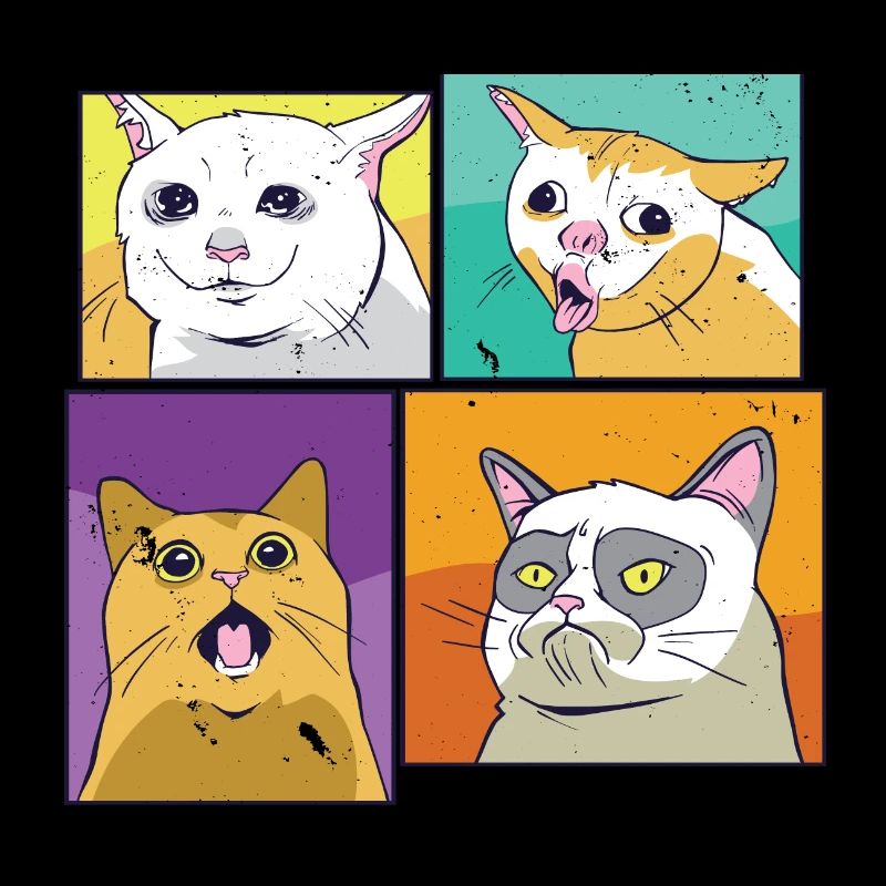 Meme Katzen