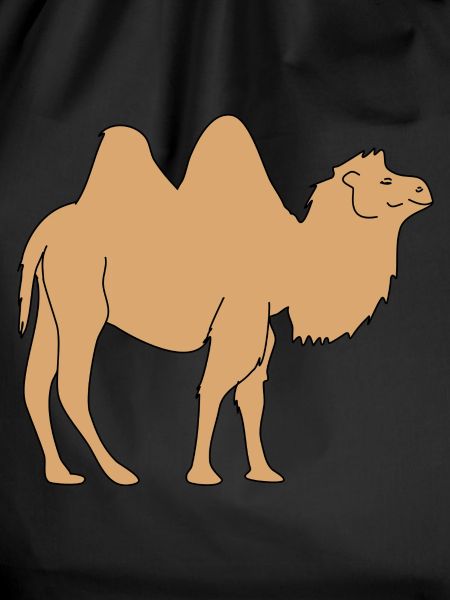kamel