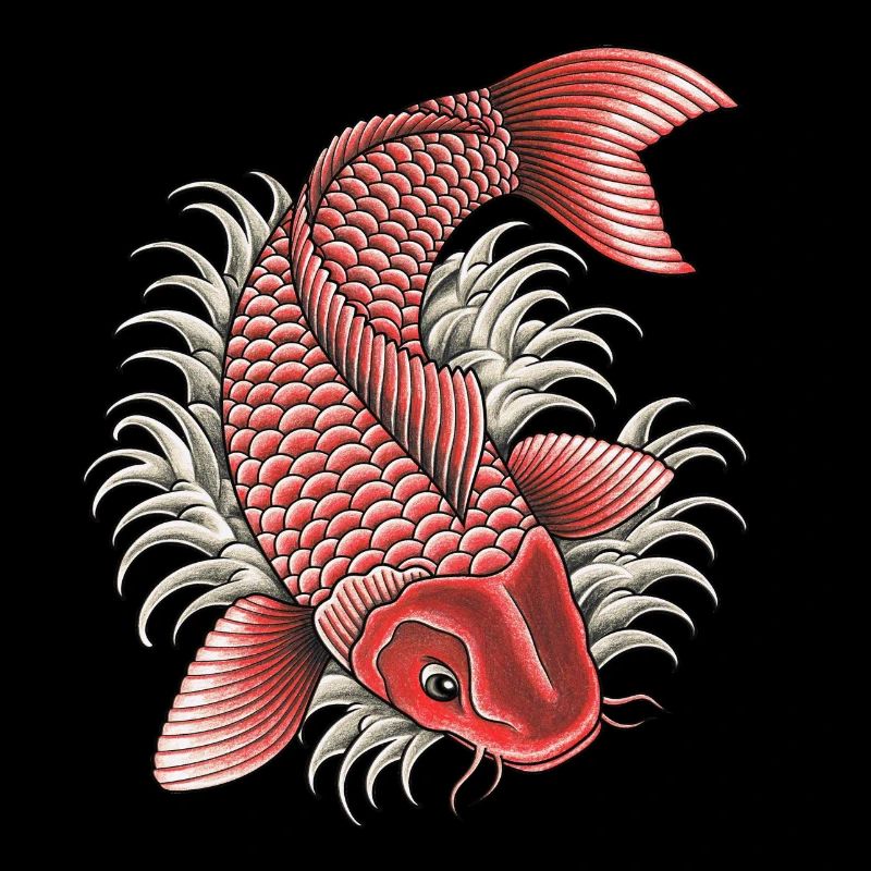 KOI TATTOO
