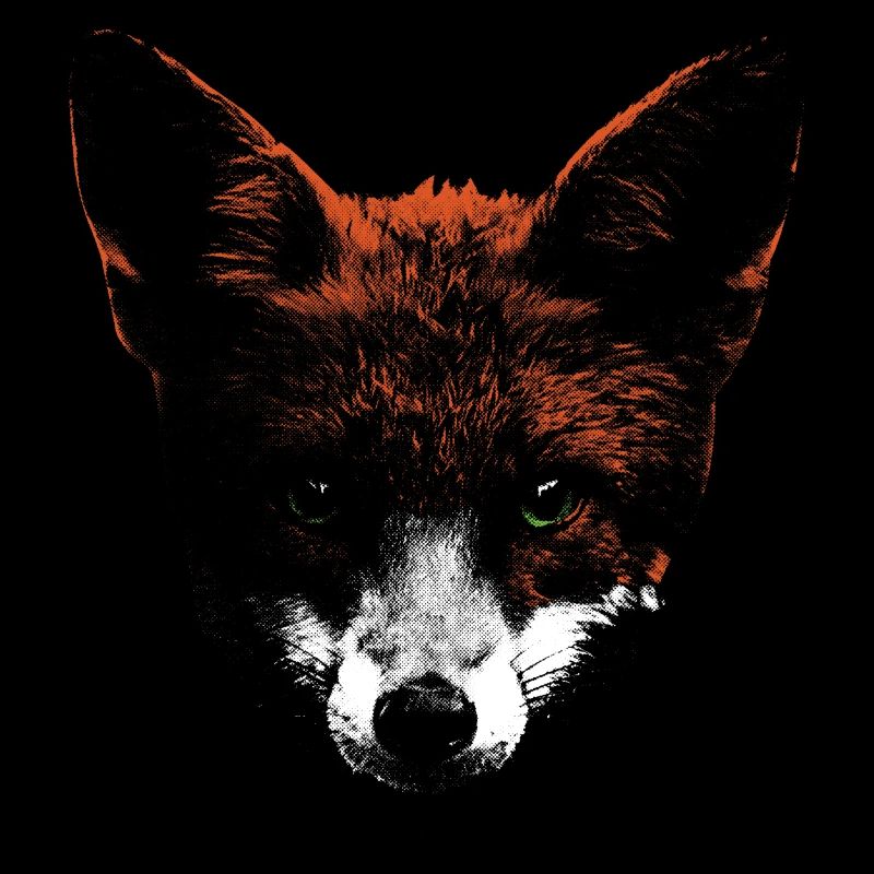 Tête de renard avec museau blanc