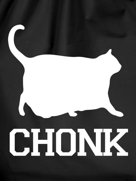 Cat chonk