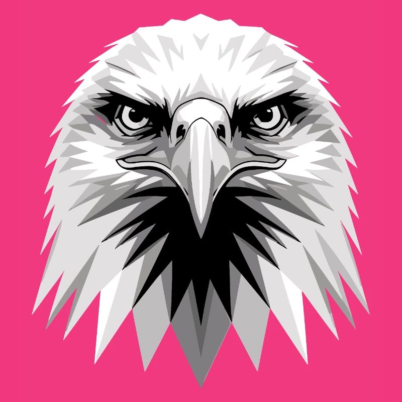 Eagle Bald Eagle Golden Eagle White-tailed Eagle