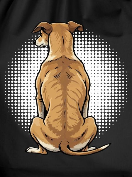 Whippet Greyhound Whippets Greyhound Owner