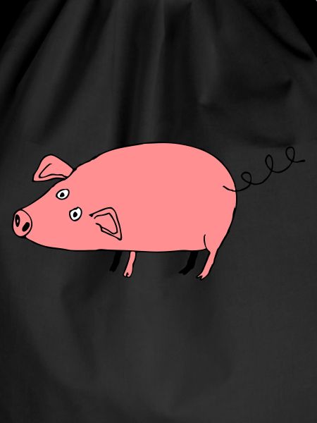 Pig roz3