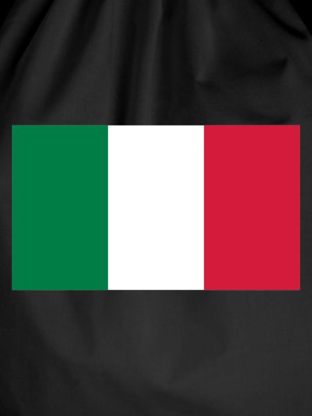 National Flag of Mexico