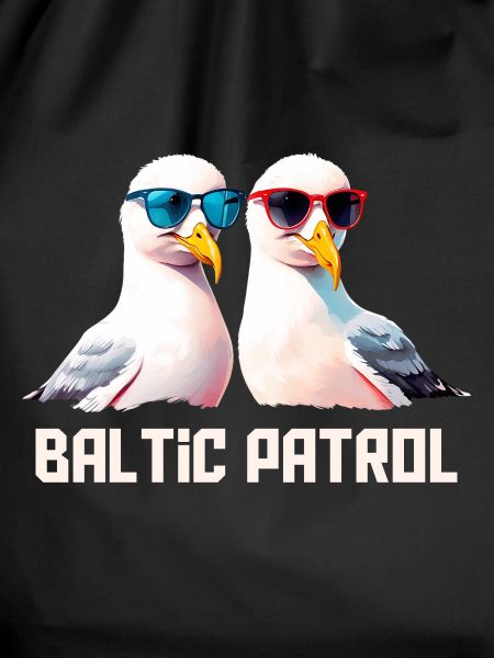 Baltic Patrol Seagulls