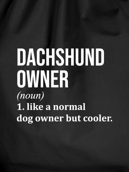 Dachshund Dachshund Dachshund