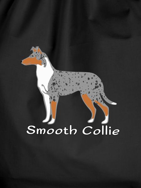 Smooth Collie blue-merle
