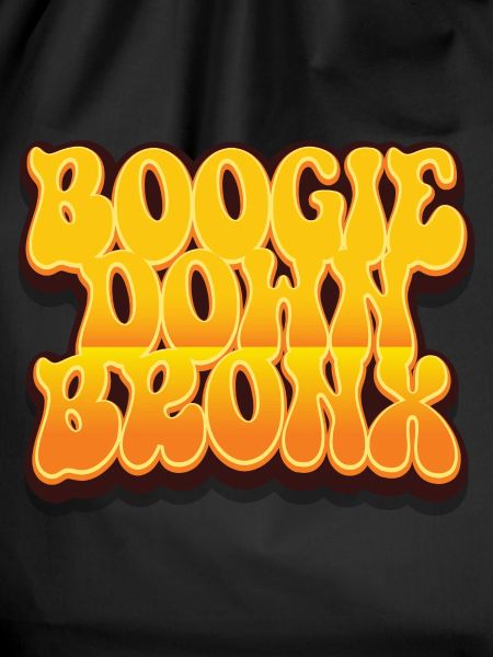 Boogie Down Bronx
