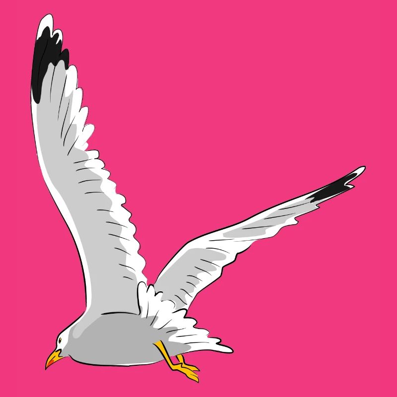 Möwe im Flug