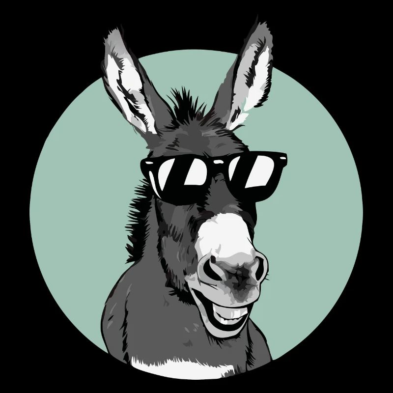 Donkey Donkey Mule Muli