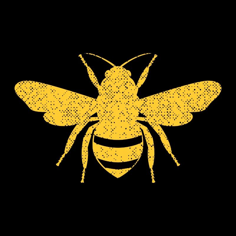 Bee honeybee insect