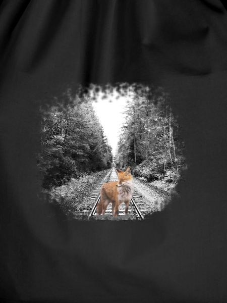 proud fox