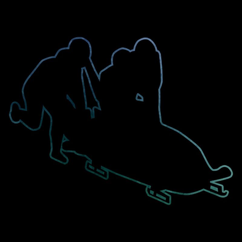 Women's bobsleigh bobsleigh bobsleigh track Bobsleigh two-man bobsleigh