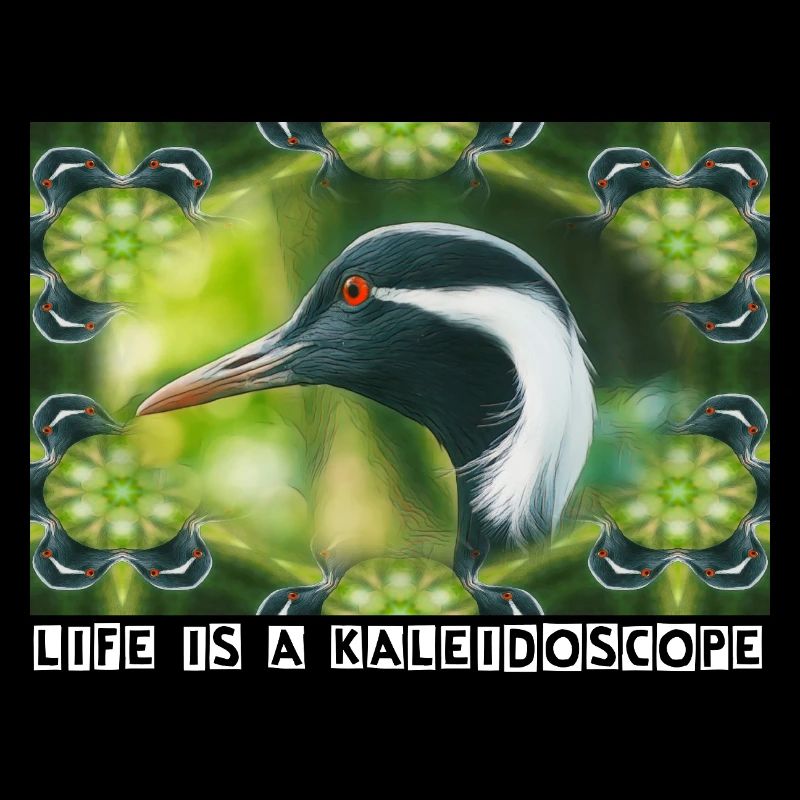 Kaleidoscope