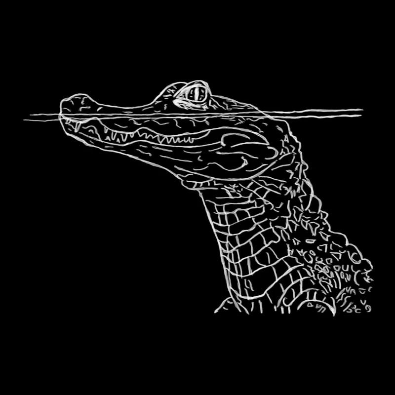 Crocodile White
