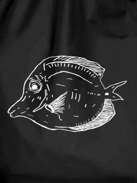 yellow sailfin surgeonfish white