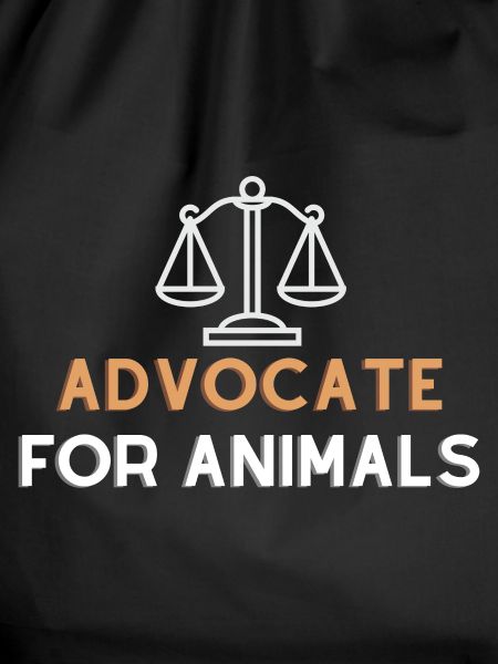 Advocate of animals