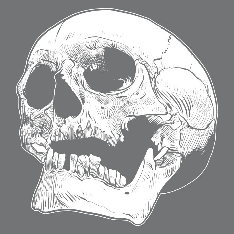 Skull skull skull bone head human