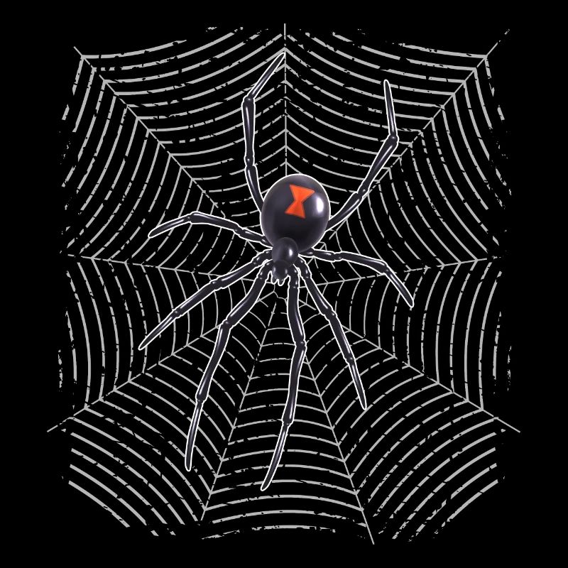 Araignée sur le web