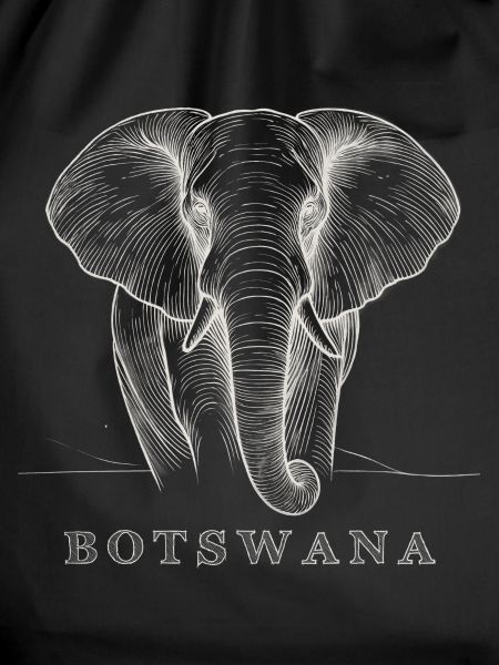 Botswana-Macht