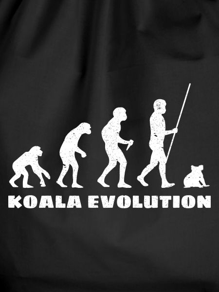 Koala Evolution