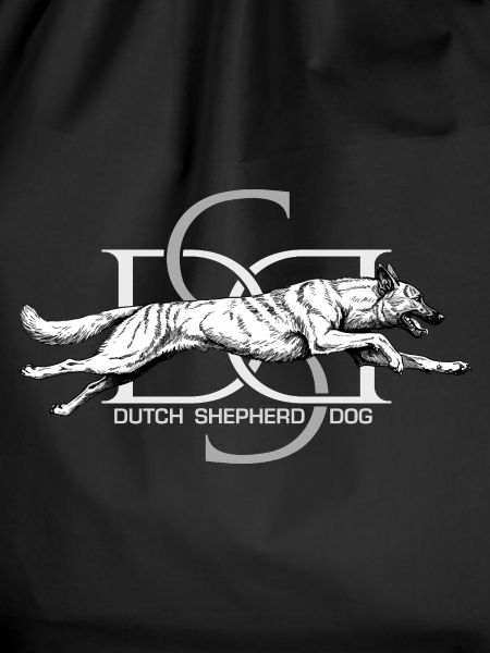 Dutchie - Holländischer Schäferhund