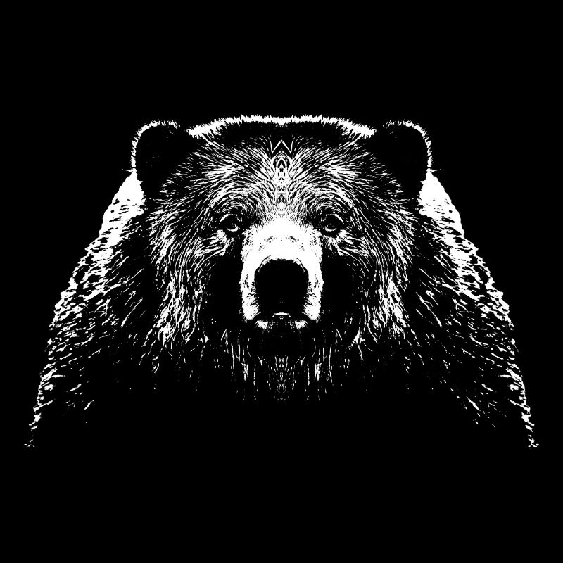 Ours / Tête / Ours