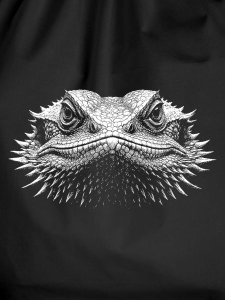 Bearded dragon