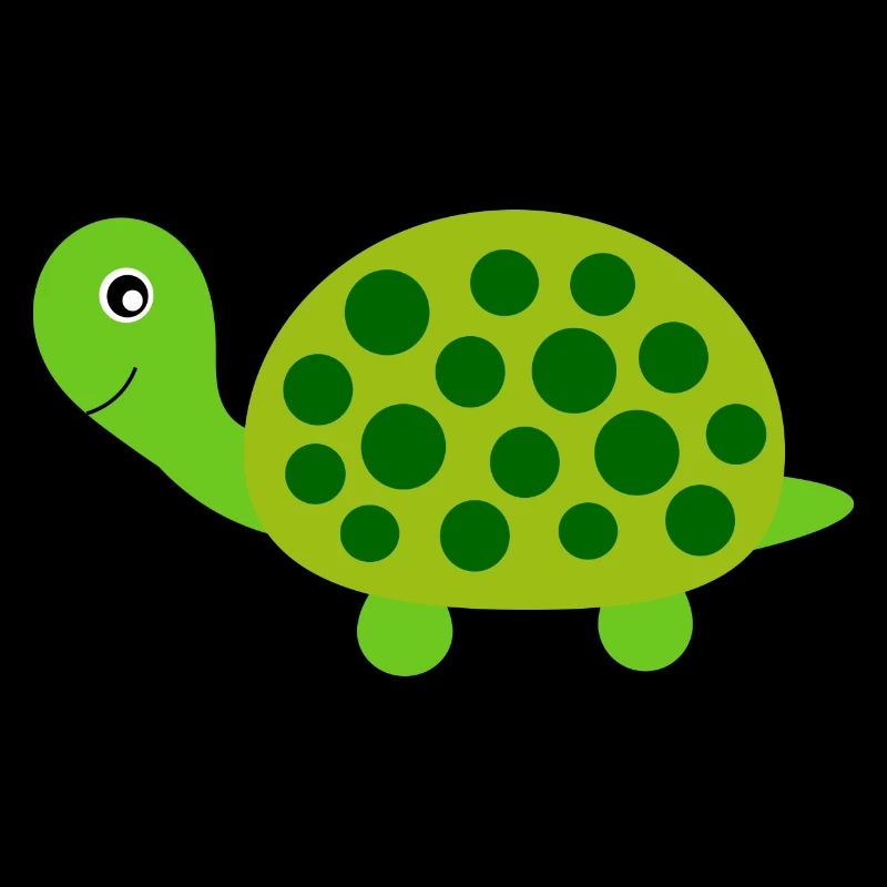 Tortue Tortues