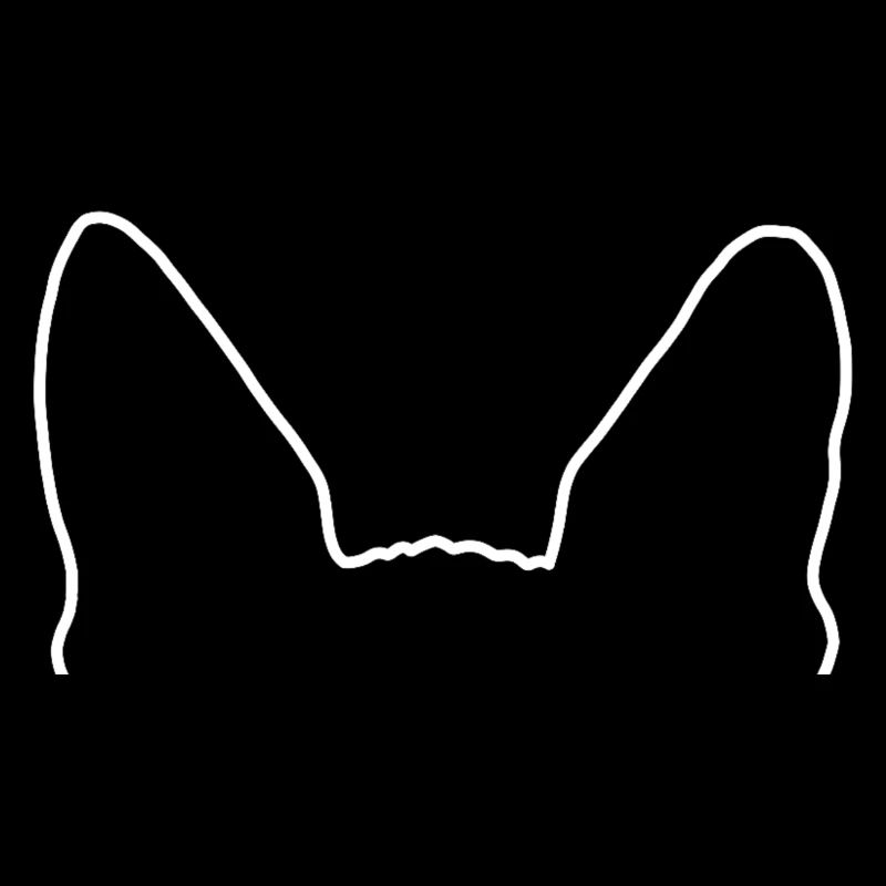 Sphynx Ohren