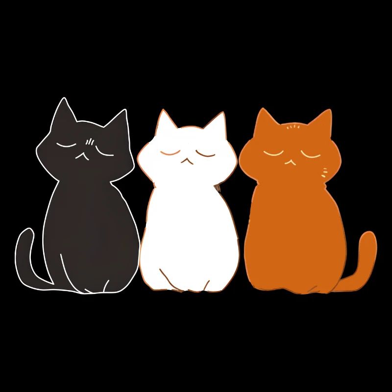 3 cute cats