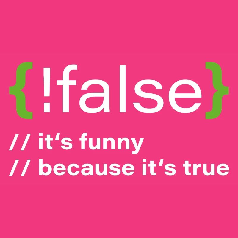 false – Funny programmer saying