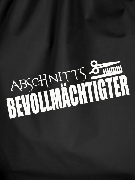 ABSCHNITTSBEVOLLMÄCHTIGTER