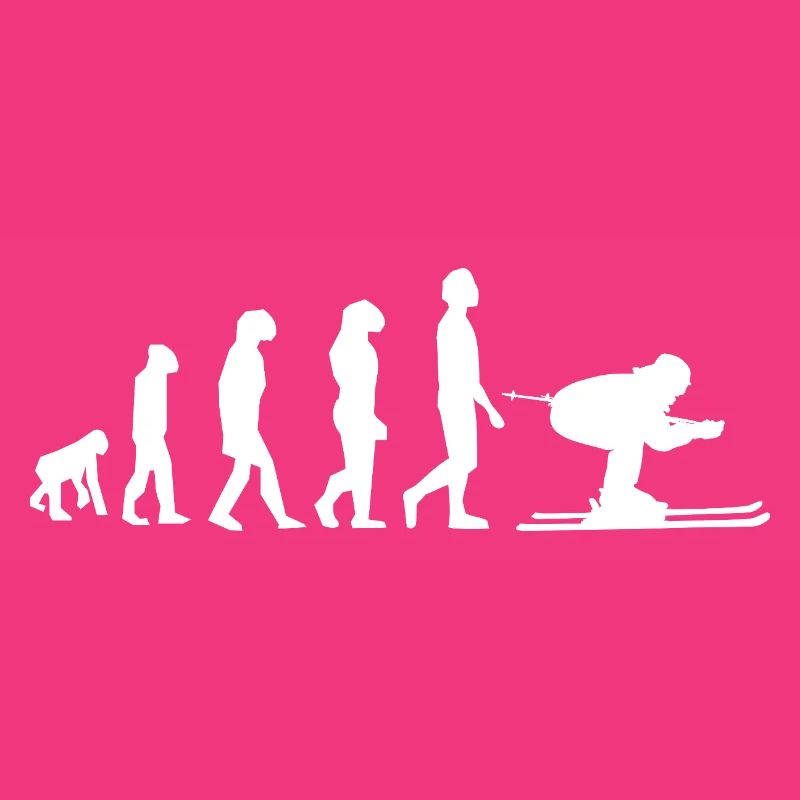 Evolution Ski / Développement